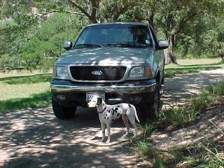 trudy and truck